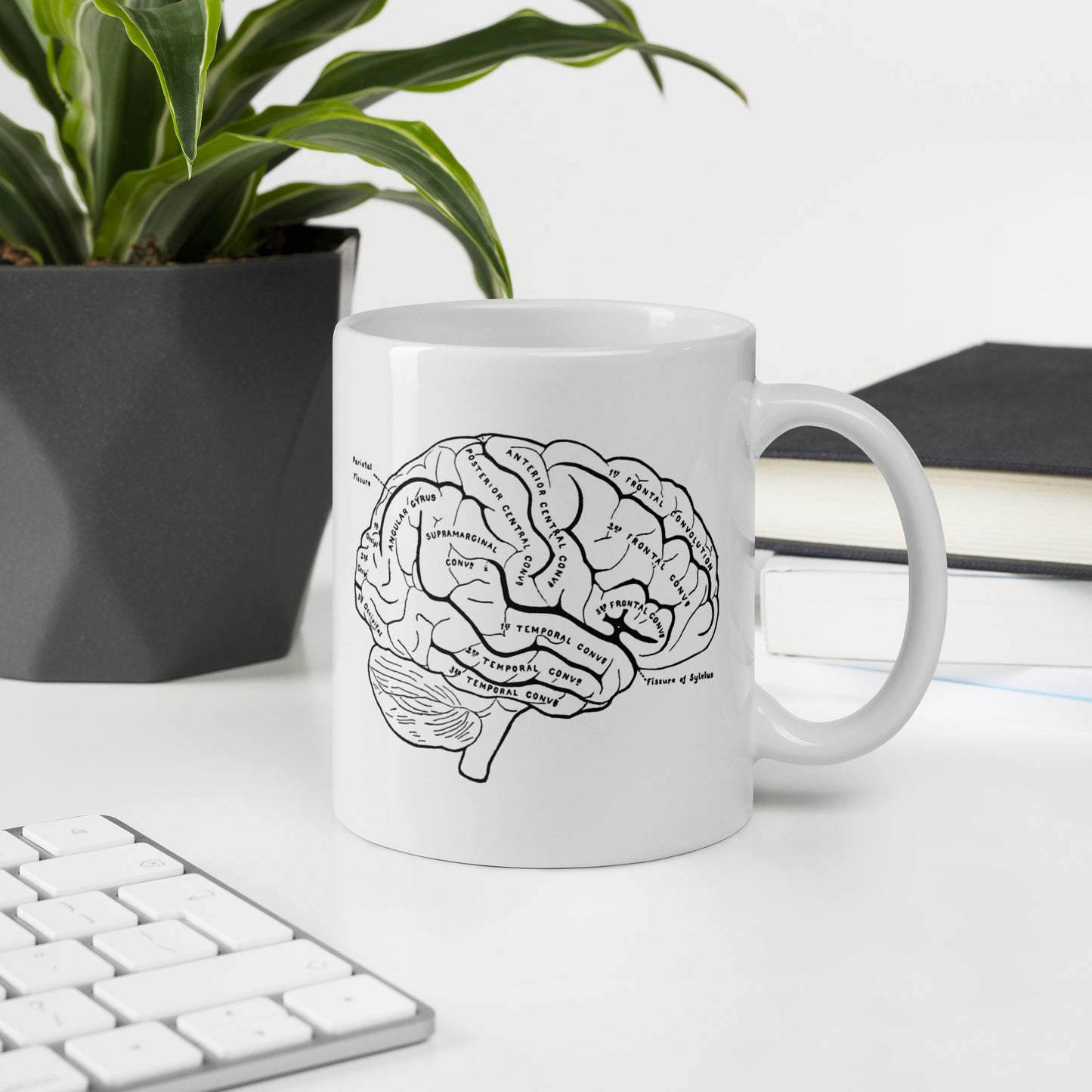 Brainy Mug